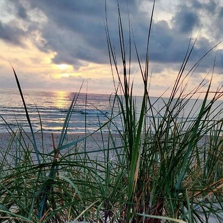 Gerves Apartamentai Palanga Kültér fotó
