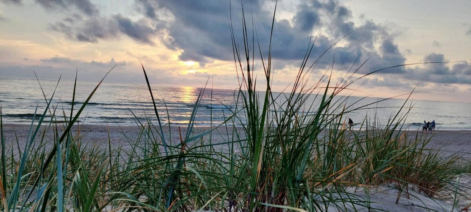 Gerves Apartamentai Palanga Kültér fotó