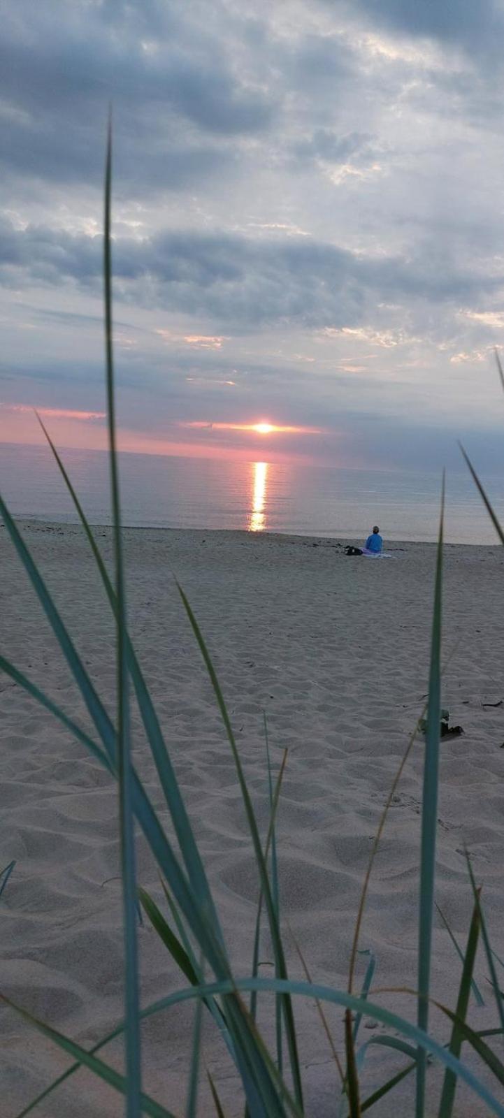 Gerves Apartamentai Palanga Kültér fotó